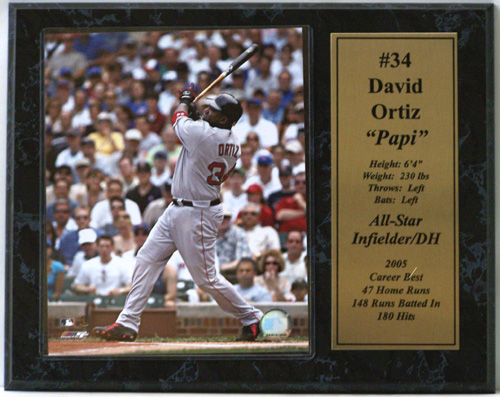 David Ortiz at the Plate Boston Red Sox 8 x 10 Baseball Photo at